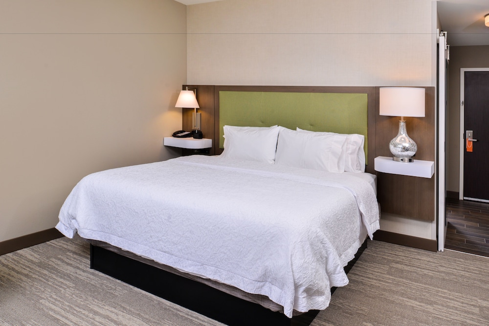 Room, 1 King Bed, Accessible, Non Smoking (Rollin Shower) photo 1