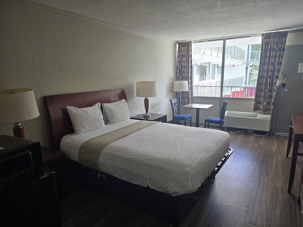Standard Room photo 2