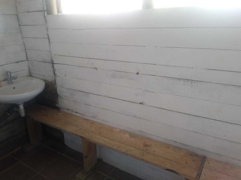 Basic Cabin photo 2
