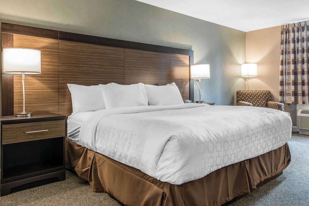 Standard Room, 1 King Bed, Non Smoking - Photo 1