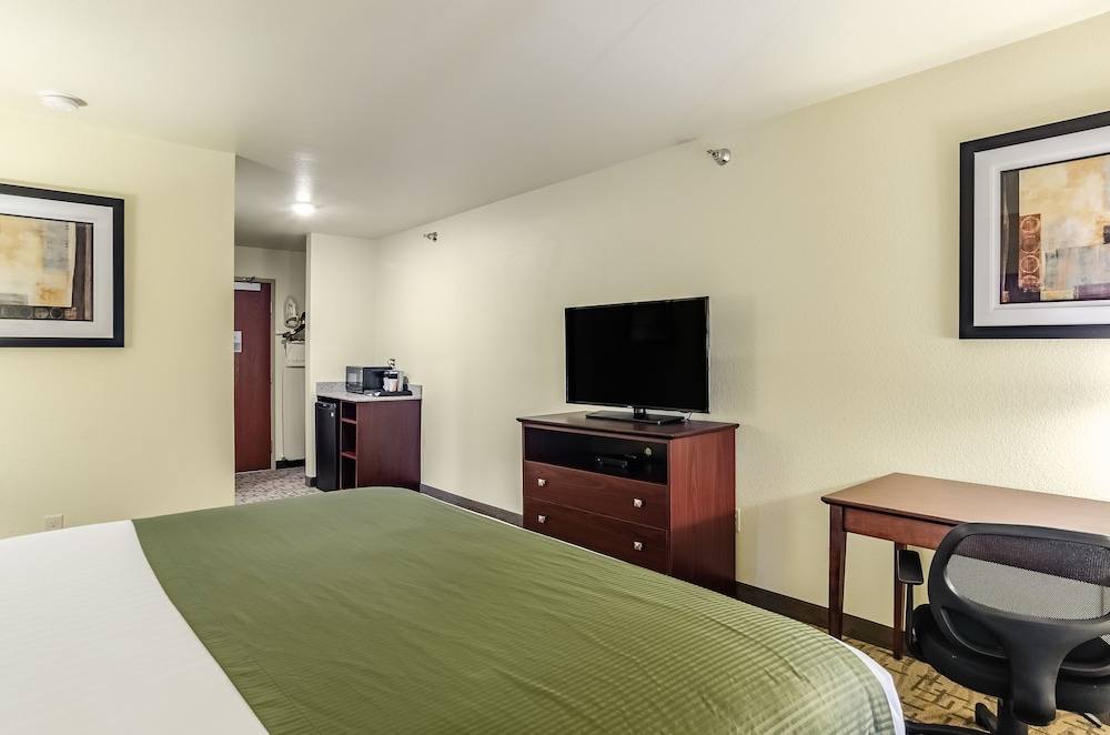 Room, 1 King Bed, Non Smoking photo 3