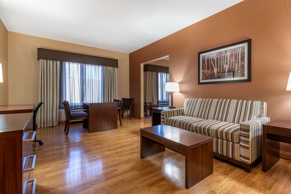 Suite, 1 King Bed, Non Smoking, Refrigerator & Microwave photo 1