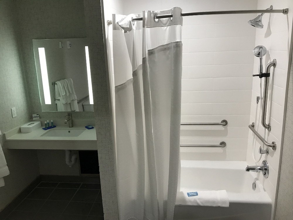 Standard Room, 1 King Bed, Accessible (Mobility Roll-In Shower), photo 6