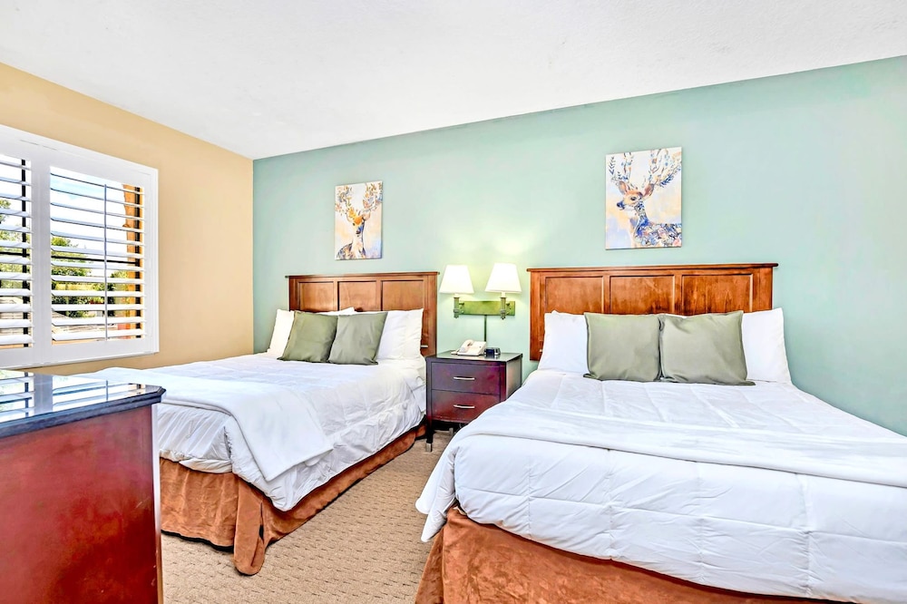 Nowoczesny Apartament z 2 Łóżkami Queen Blisko Disney, Zdjęcie 7
