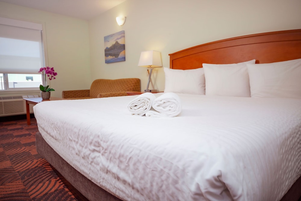 Standard Single Room, 1 King Bed with Sofa bed - Photo 2