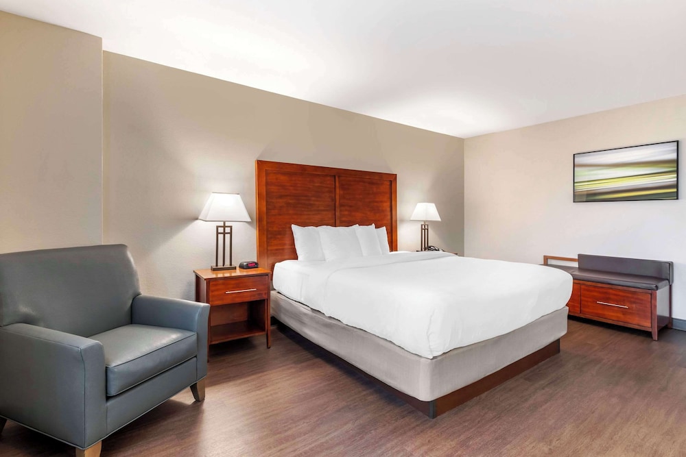 Suite, 1 King Bed with Sofa bed, Accessible, Non Smoking - Photo 2