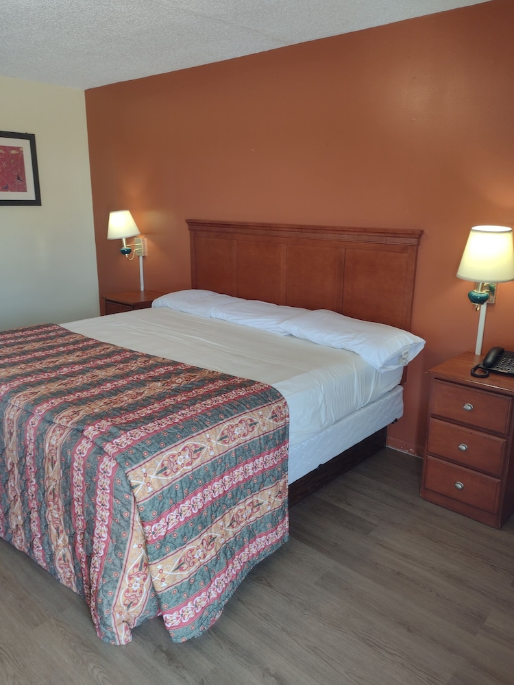 Single Room photo 1