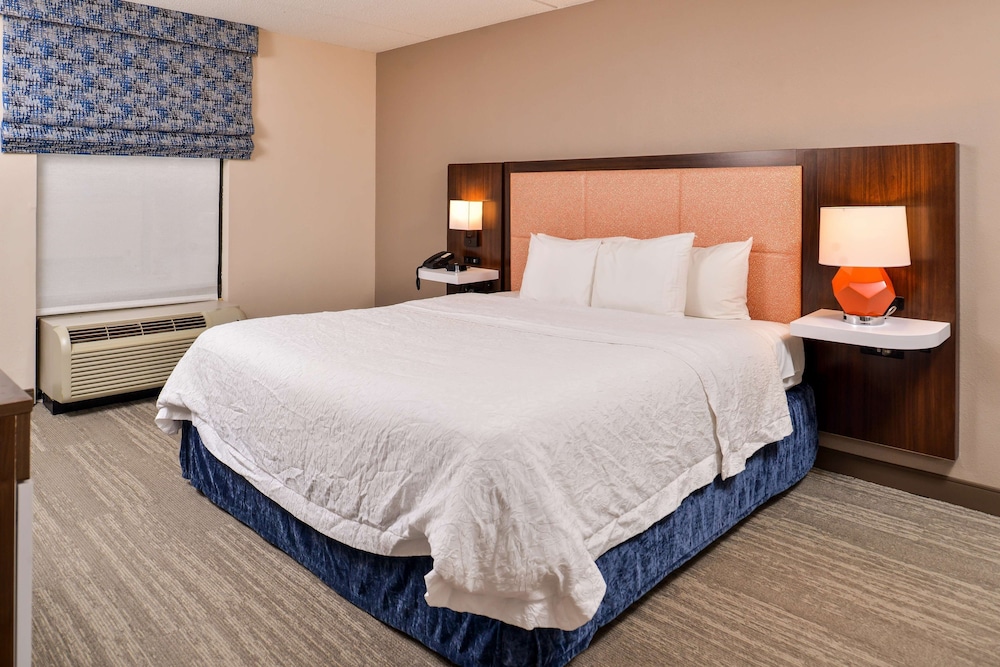 Suite, 1 King Bed, Accessible, Non Smoking