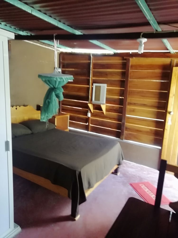 Basic Cabin, 1 Queen Bed photo 1
