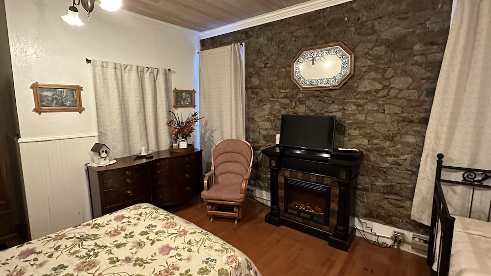 Premium Double or Twin Room, Multiple Beds, Ground Floor (Room 9) photo 1
