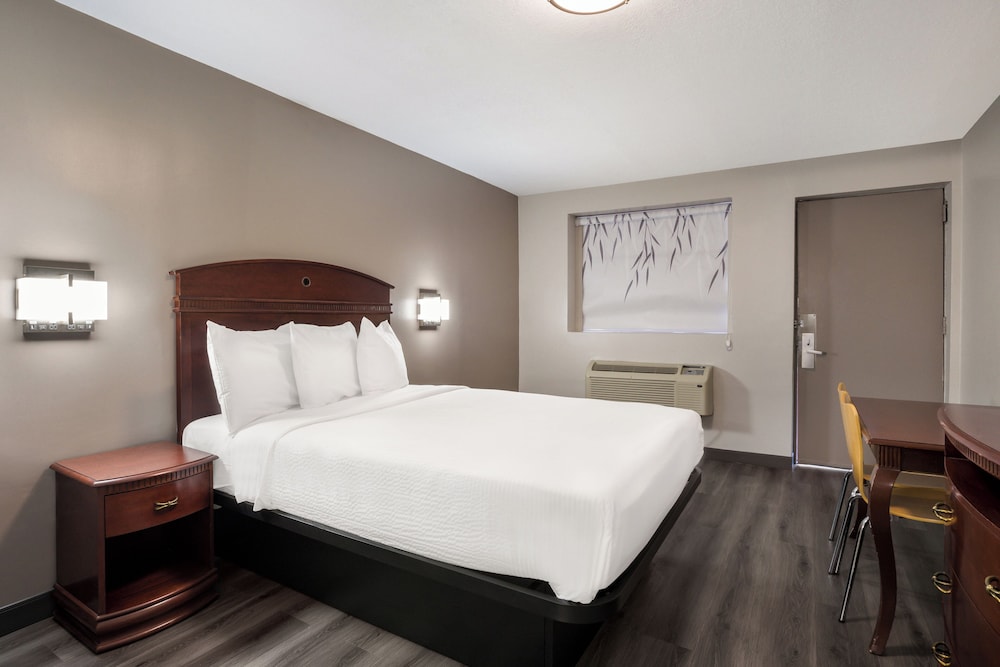 Standard Single Room, 1 King Bed, Accessible photo 1