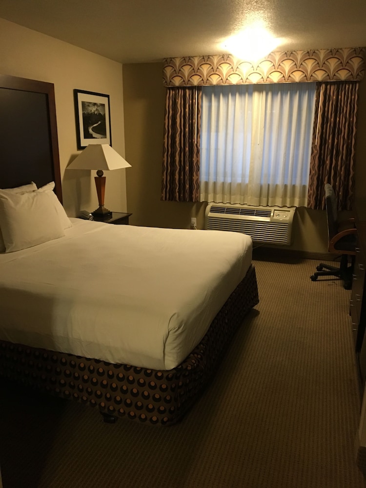 Room, 1 King Bed