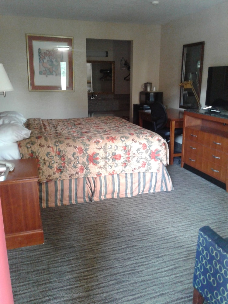 Standard Room, 1 King Bed, Non Smoking