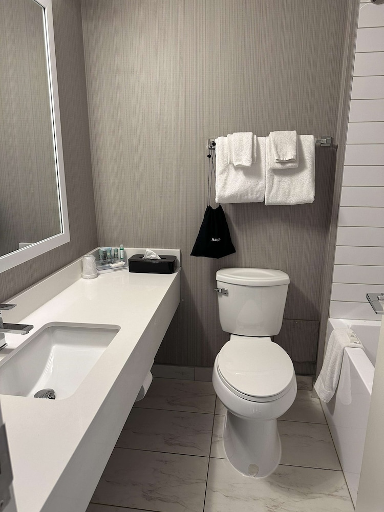 Suite, 1 King Bed, Non Smoking, Refrigerator (with Sofabed) - Photo 6