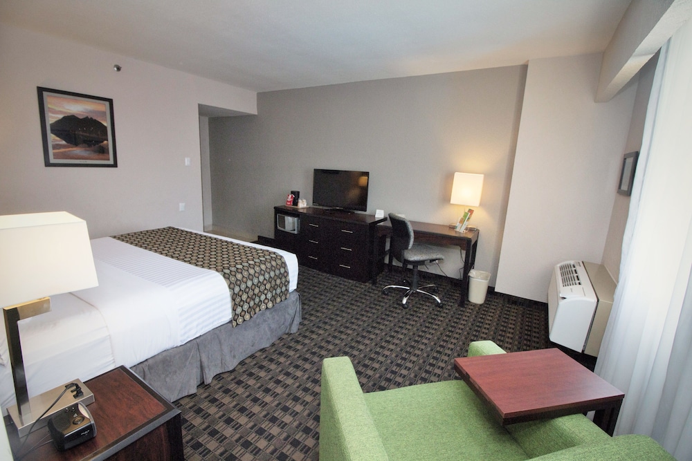 Room, 1 King Bed photo 2