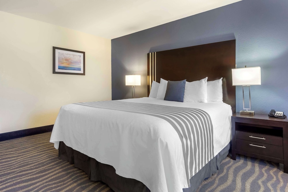 Standard Room, 1 King Bed, Accessible, Non Smoking - Photo 1