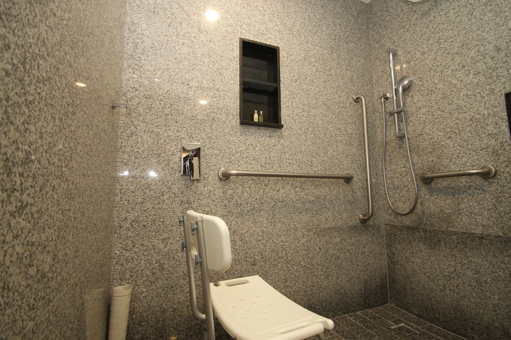 Business Room, 1 King Bed, Accessible - Photo 8