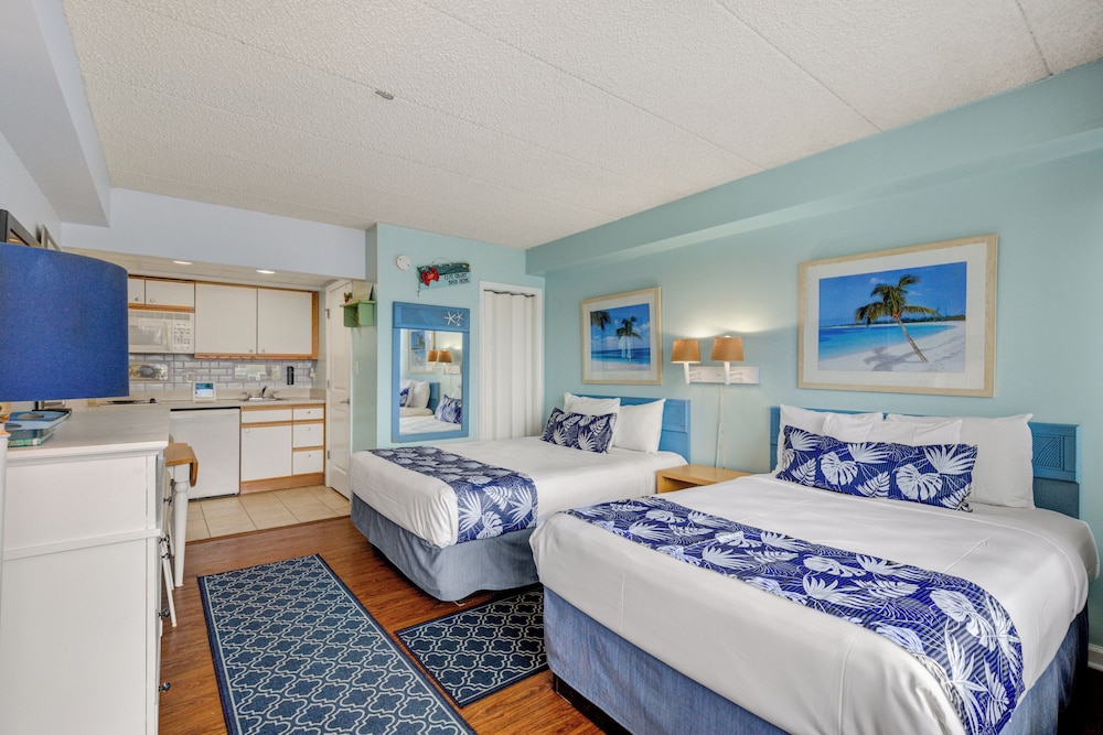 Room 221 photo 1