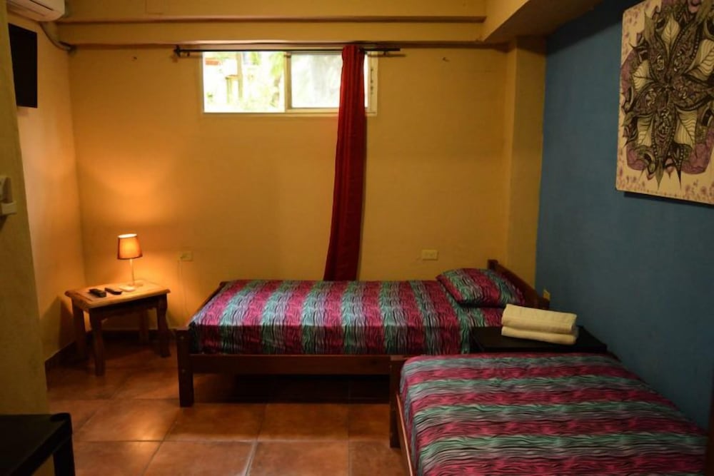 Basic Twin Room photo 2