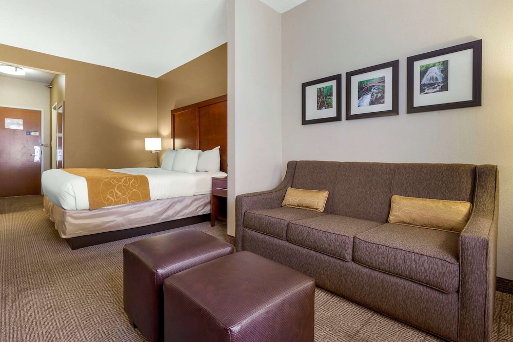 Suite, 1 King Bed with Sofa bed, Accessible, Non Smoking - Photo 3