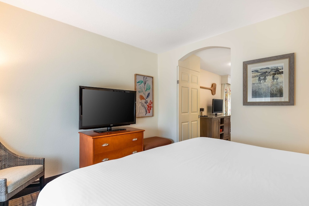 Executive Suite, 1 King Bed, Non Smoking, Refrigerator & Microwave (with Sofabed) - Photo 2