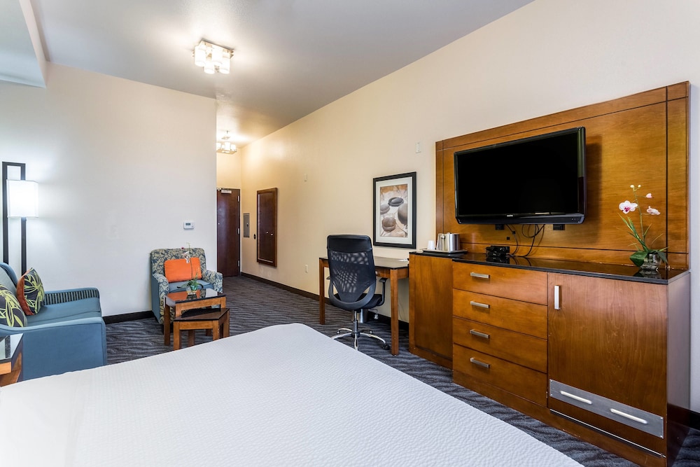Room, 1 King Bed (Mobility/Hearing Access, Roll-In Shwr) photo 3