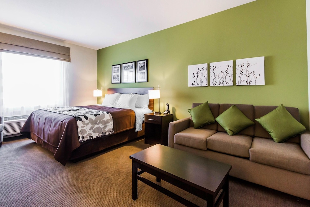 Suite, 1 King Bed with Sofa bed, Accessible, Non Smoking photo 2