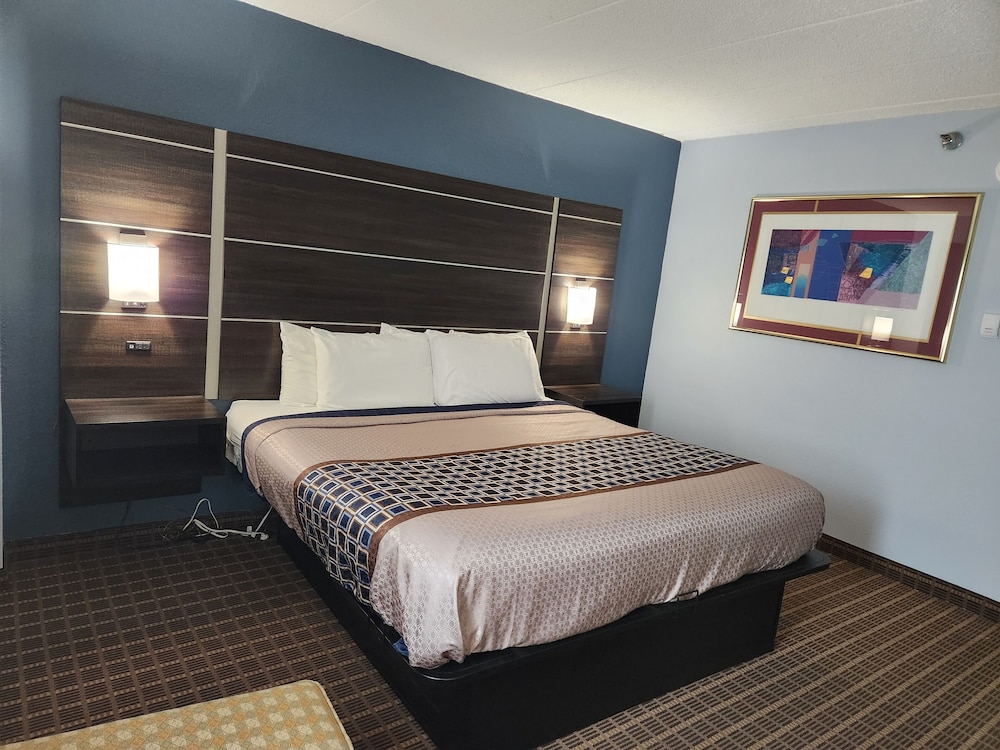 Standard Single Room, 1 King Bed, Accessible photo 1