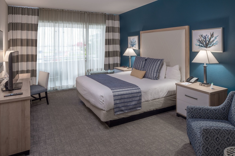 Standard Room, 1 King Bed, Accessible, Ground Floor - Photo 1