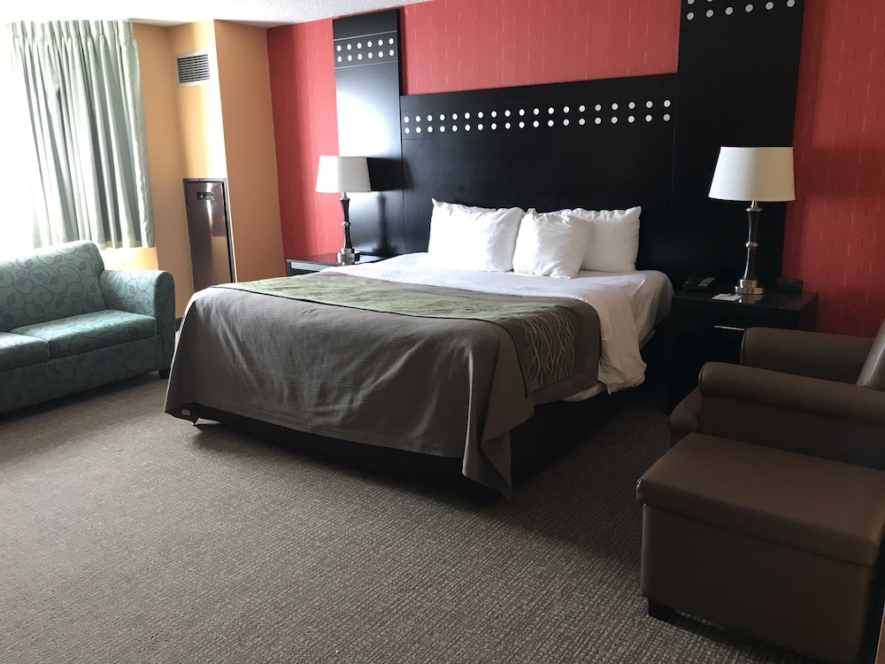 Room, 1 King Bed, Non Smoking - Photo 3