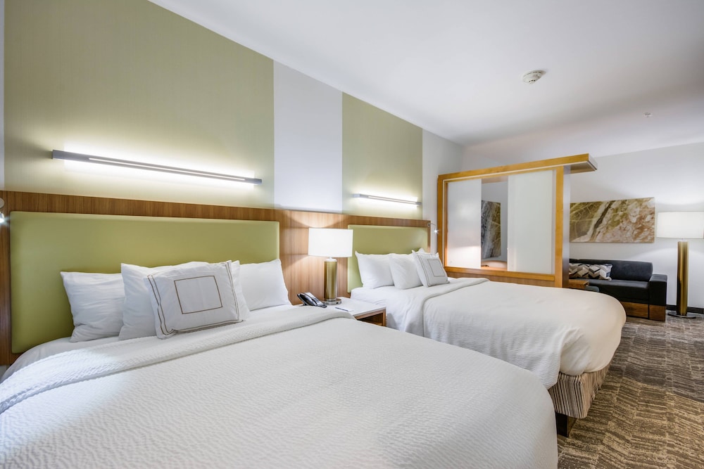 Suite, Multiple Beds (Mobility/Hearing Access, Roll-in Shwr) photo 2