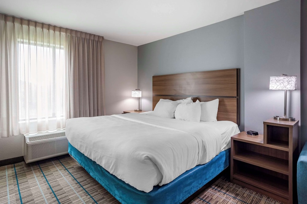 Suite, 1 King Bed, Accessible, Non Smoking (Efficiency) - Photo 6