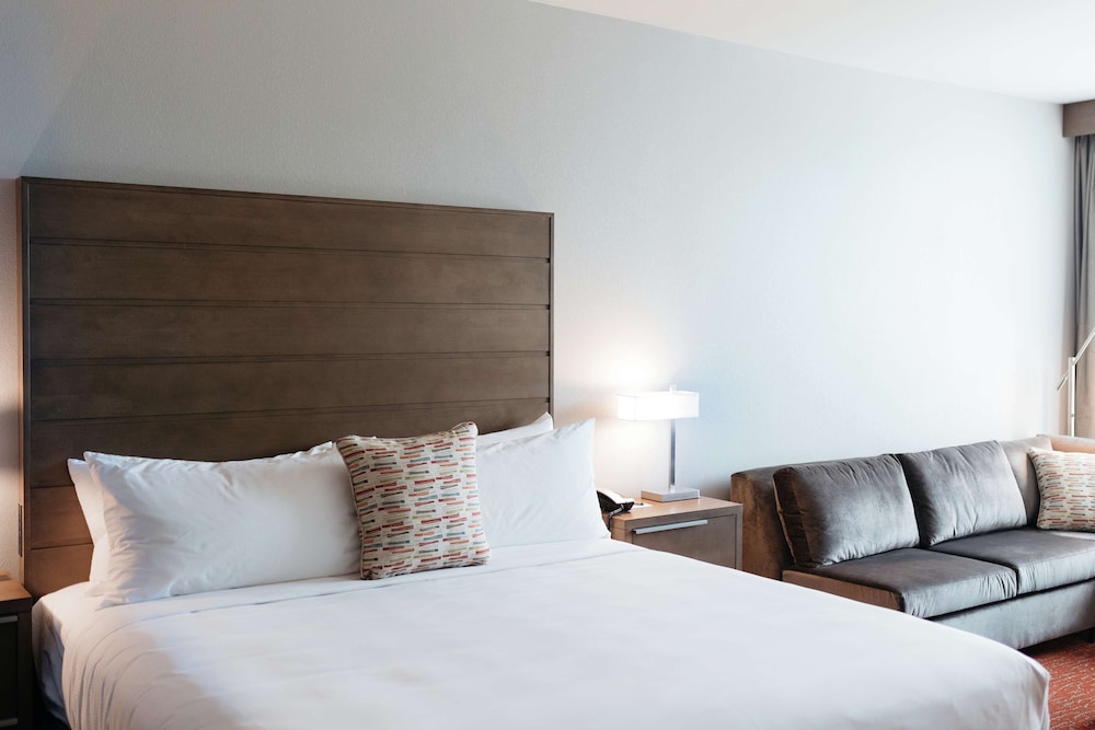 Studio Suite, 1 King Bed - Photo 4