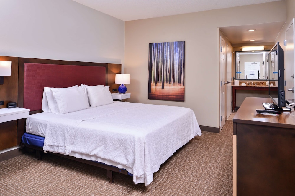 Room, 1 King Bed, Accessible, Bathtub photo 2