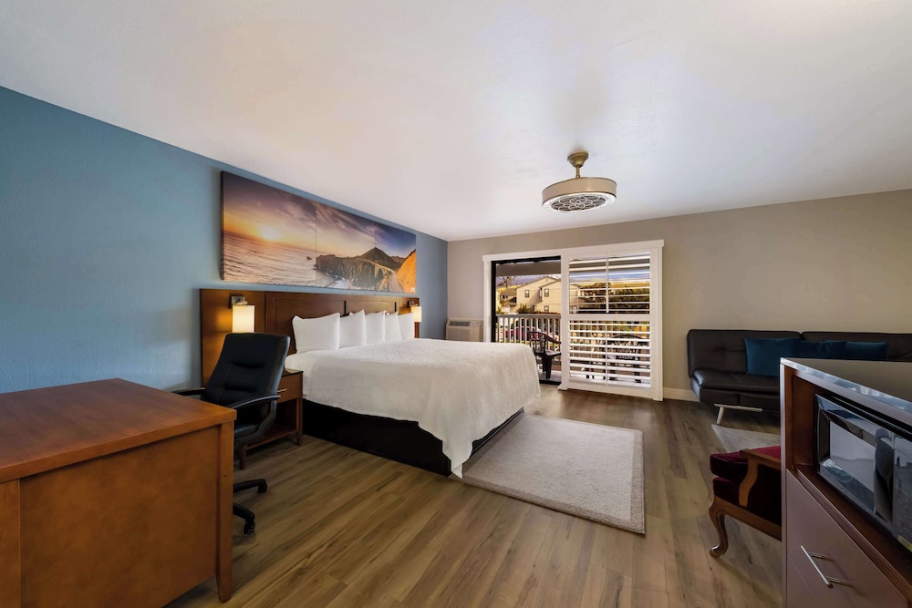 Suite, 1 King Bed, Non Smoking - Photo 1