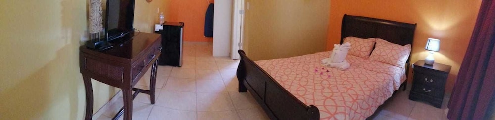 Comfort Single Room, 1 Queen Bed photo 3
