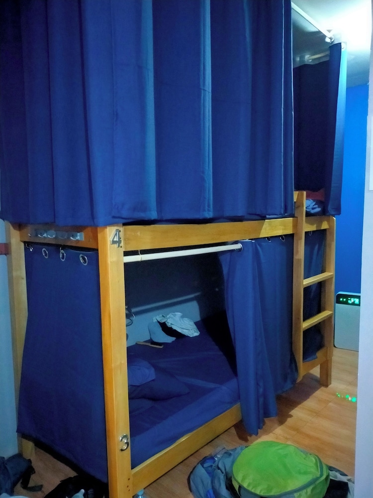 Comfort Shared Dormitory photo 2
