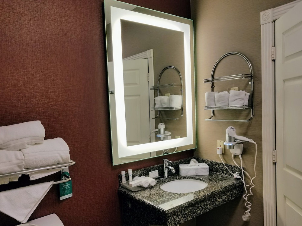 Suite, 1 King Bed, Accessible, Non Smoking (Roll-in shower) - Photo 15