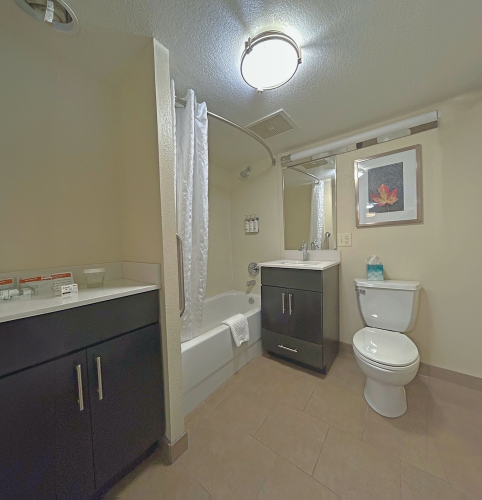 Suite, 1 Bedroom - Photo 15