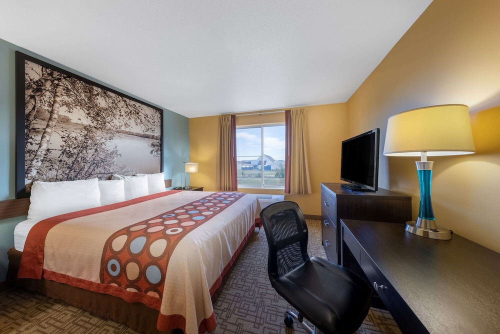 Room, 1 King Bed, Non Smoking (Dog-Friendly) - Photo 1