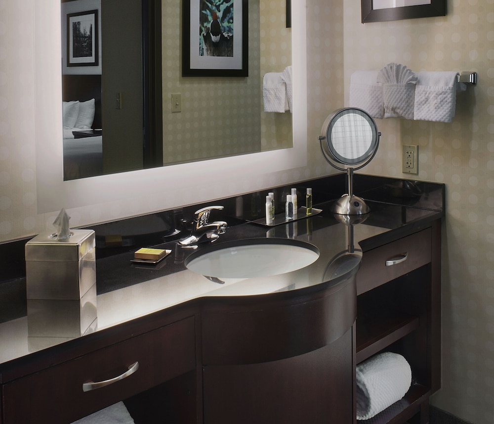 Suite, 1 King Bed, Accessible - Photo 3