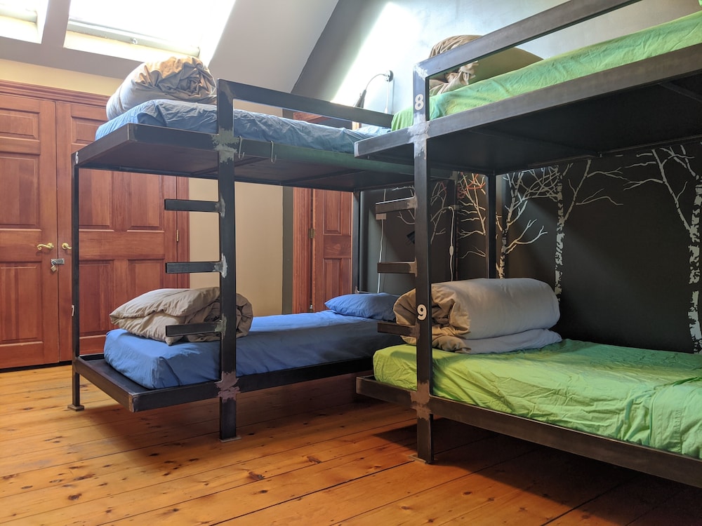 Basic Shared Dormitory, Mixed Dorm (Birch Room) photo 1