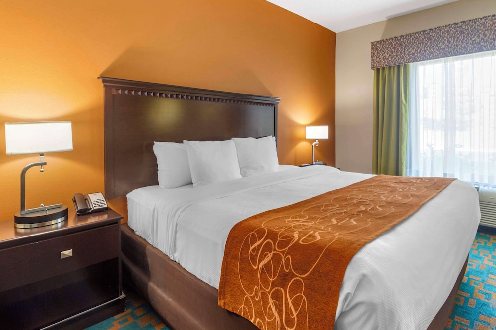 Suite, 1 King Bed with Sofa bed, Accessible, Non Smoking