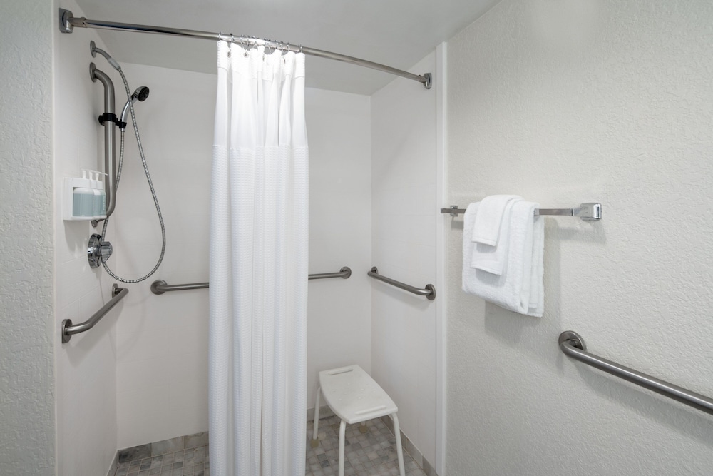 Suite, 1 King Bed with Sofa bed (Mobility Accessible, Roll-In Shower)