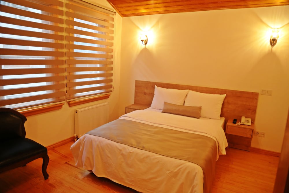 Deluxe Double Room photo 3