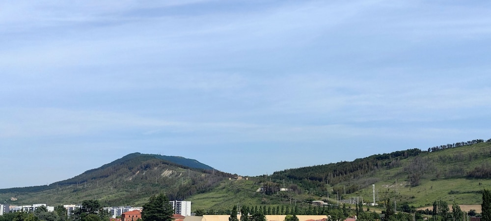 Standard Apartment, Terrace, Mountain View - Photo 6