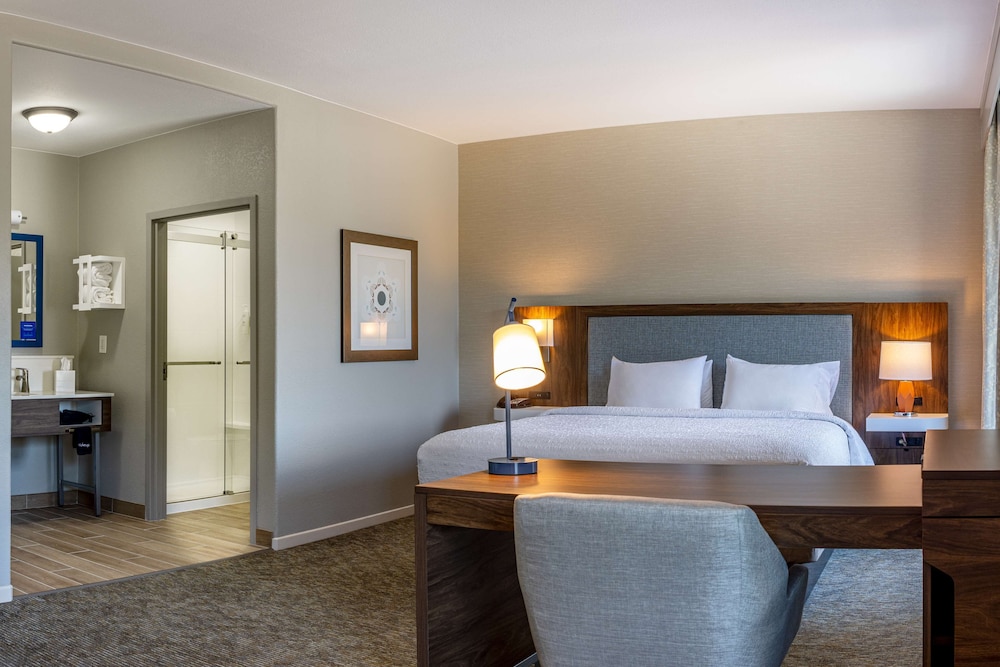 Suite, 1 King Bed, Accessible, Non Smoking (Roll-in Shower) photo 2
