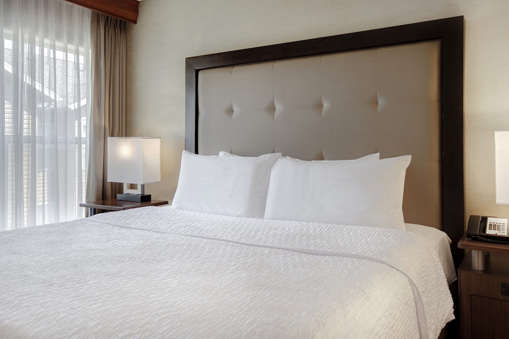 Suite, 1 King Bed - Photo 4