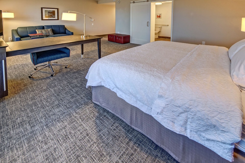 ADA Accessible, Studio, 1 King Bed, Accessible (Roll-in Shower) photo 2