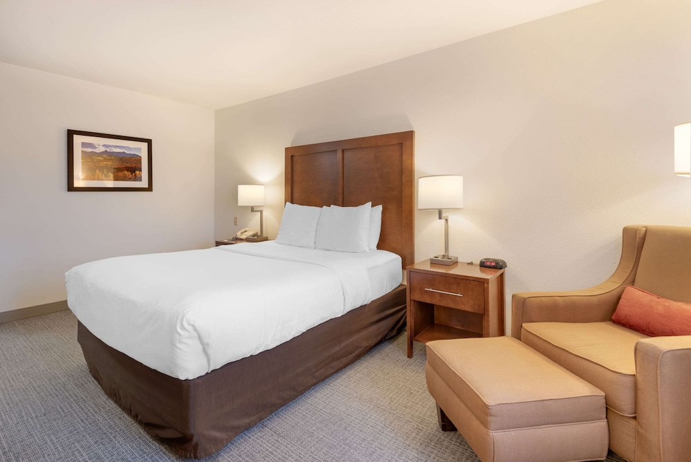 Room, 1 Queen Bed, Non Smoking photo 2